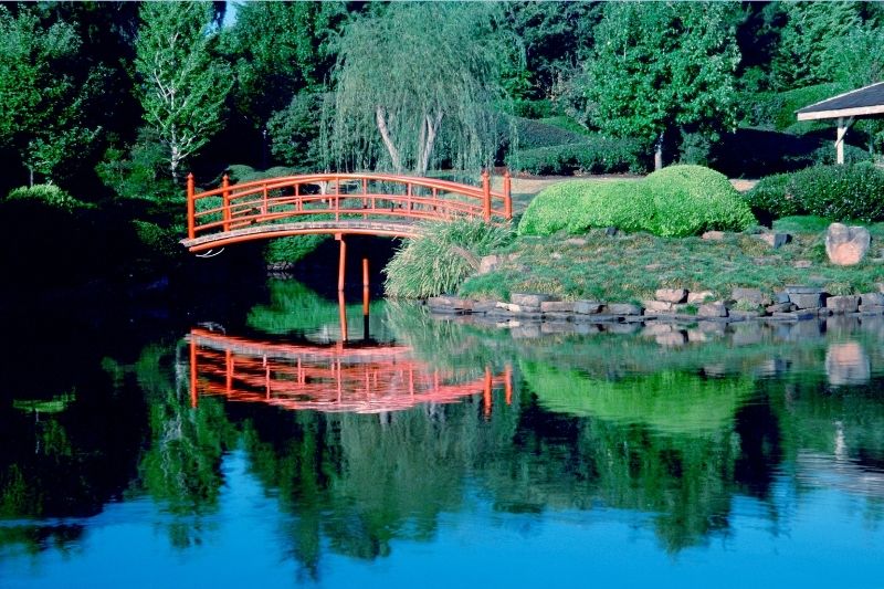 USQ Japanese Gardens Toowoomba QLD