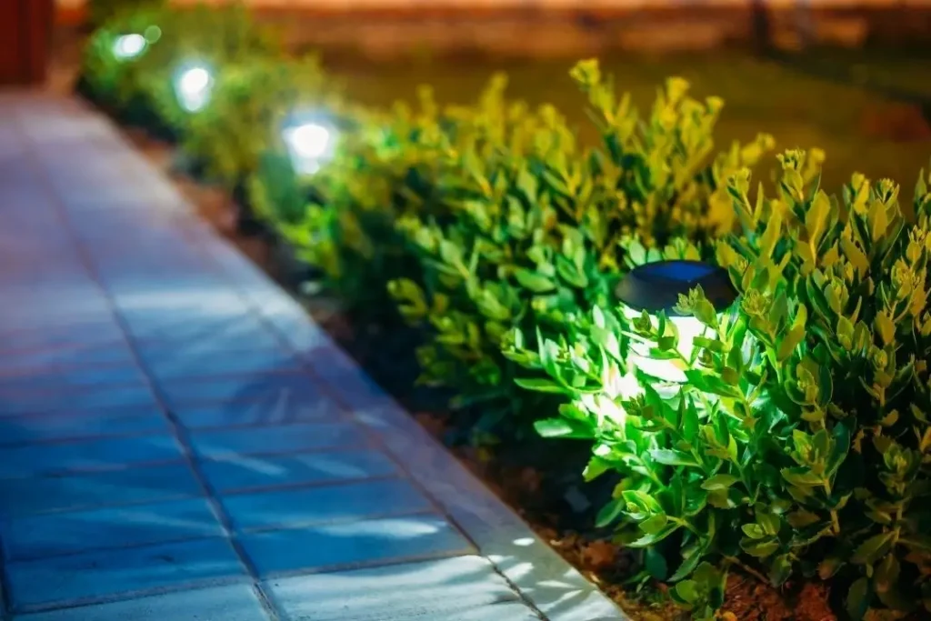 lights on a pathway at night